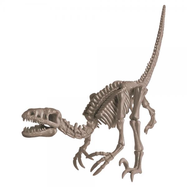 Dig a Dinosaur Skeleton Utgravningssett Velociraptor