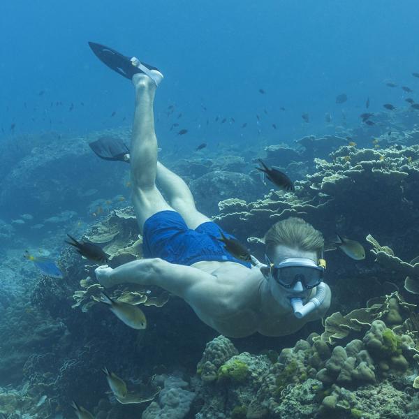 Snorkelsett med Svmmefinner Spark Wave