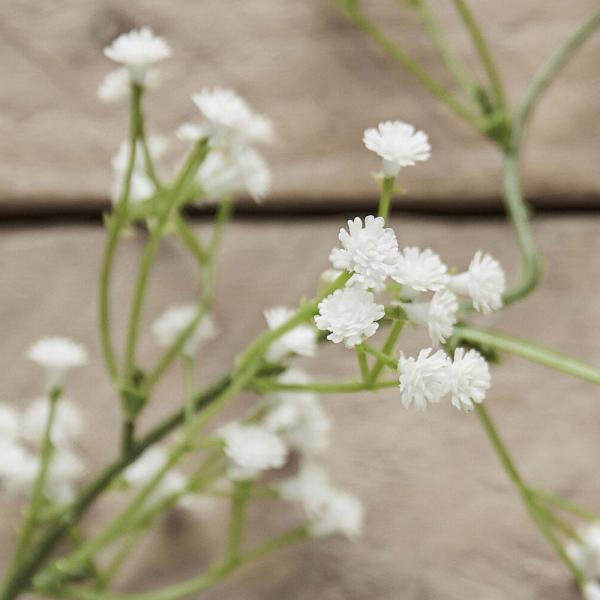 Blomstergirlander Botanical Wedding