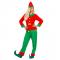 Santas Little Helper Elf Kostyme Dame