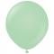 Premium Store Latexballonger Macaron Green