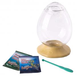 Aqua Dragons Eggspress Sett